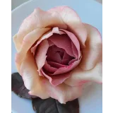 Шокофлористика. Тариф «Хочу максимум» (Art.torte)