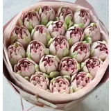 Махровые зефирные тюльпаны (Ляйсян Казыргалина)