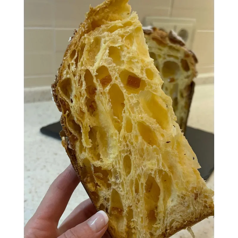 Марафон по приготовлению панеттоне с большими альвеолами (Анна Хряпина)