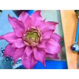 Шокофлористика. Тариф «Хочу максимум» (Art.torte)