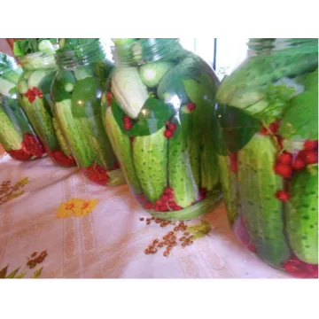 [Поместье Бутовых] Курс по натуральной консервации без уксуса