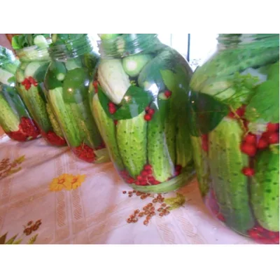 [Поместье Бутовых] Курс по натуральной консервации без уксуса