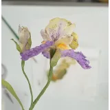 Вебинар по вафельным цветам 2.0 (cakeit_nsk)