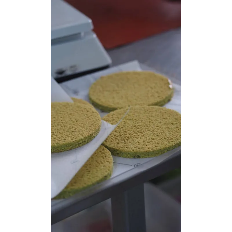 Flower Cake. Бисквитные торты с цветами (Таня Силаева)
