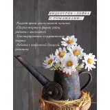 Торт "Лейка с ромашками" (Анна Сухова, anechkacake)