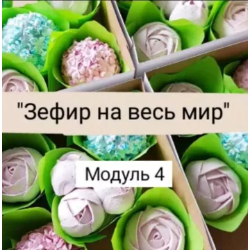Авторский онлайн-курс "Зефир на весь мир" (Ляйсян Казыргалина)