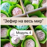 Авторский онлайн-курс "Зефир на весь мир" (Ляйсян Казыргалина)