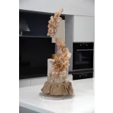 Курс "Текстуры" (Александра Булгакова)