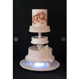 Мой первый свадебный сезон (Татьяна Шкода)