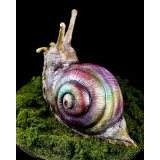 Торт "Радужная улитка" (MARIA MAGRAT, mrs.magrat)