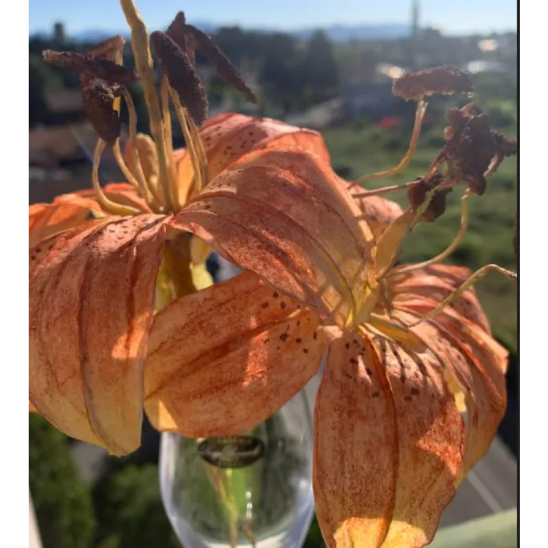 Курс “Вафельная флористика 2.0” (Татьяна Ефремова)