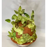 Детские торты. тариф «Декор+Рецепты» (Ольга Куликова)