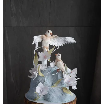 Торт "Птички" (Анна Сухова, anechkacake)