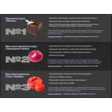 Новый курс для кондитеров (Александра Филатенко, Анна Гордеева)