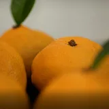 Видеоурок "Мандарины" (Виктория Углева)