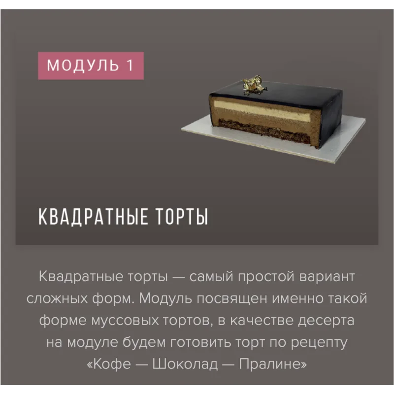 Курс «Муссовые пирожные и торты фантазийных форм» (Ираида Корягина)