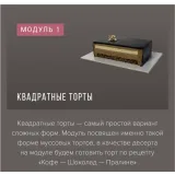 Курс «Муссовые пирожные и торты фантазийных форм» (Ираида Корягина)