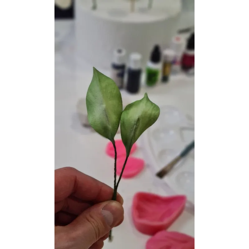 Курс "Сахарные цветы 2.0" (Елена Решетняк, Cake Pro)