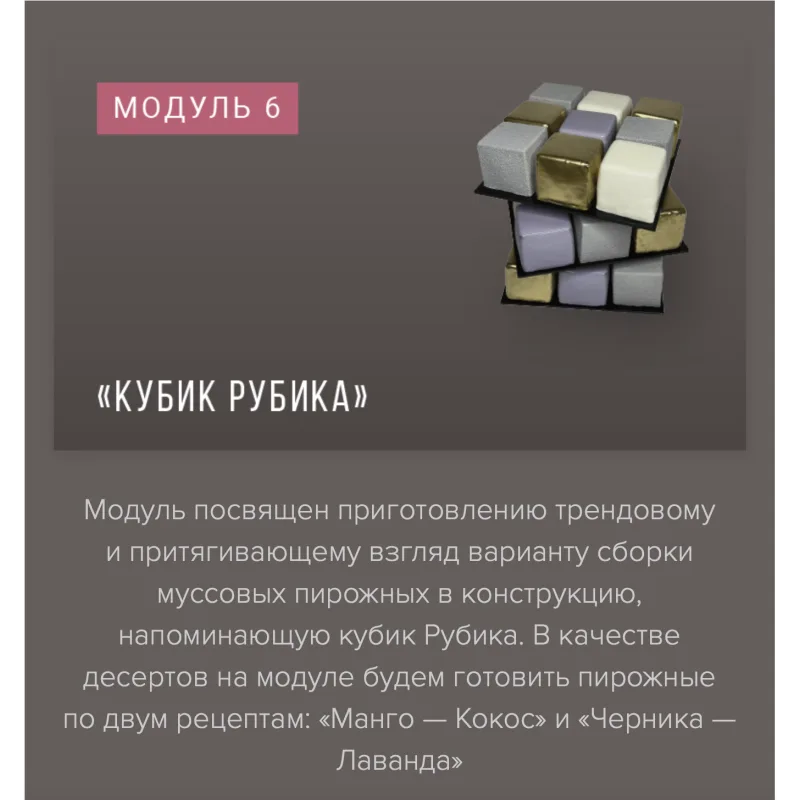 Курс «Муссовые пирожные и торты фантазийных форм» (Ираида Корягина)