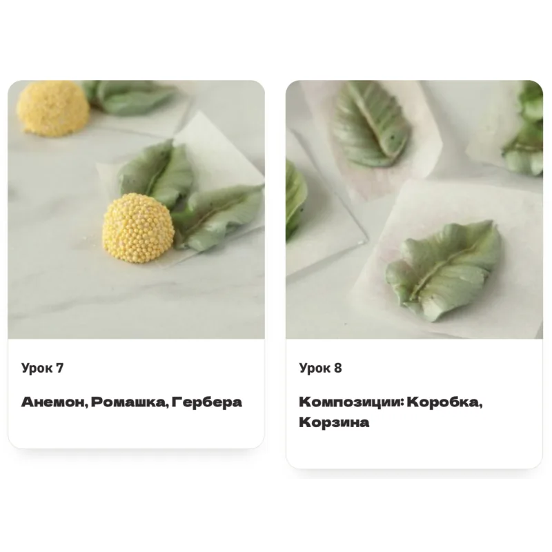 [Pauline School] Курс "Зефирные цветы" (Полина Филимонова)