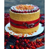 Сборник видеоуроков "30 медовиков" (gift_cookies)