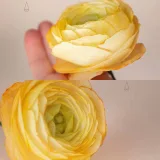 Онлайн курс Вафельная флористика (Elena Elkina-Kovaleva, Glavgnom)