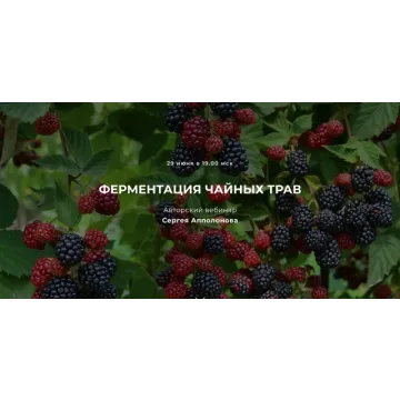 Ферментация чайных трав (Сергей Апполонов)