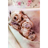 Ура - Я модный кондитер! Тариф Трендовый кондитер без обратной связи (Евгения Волошина)