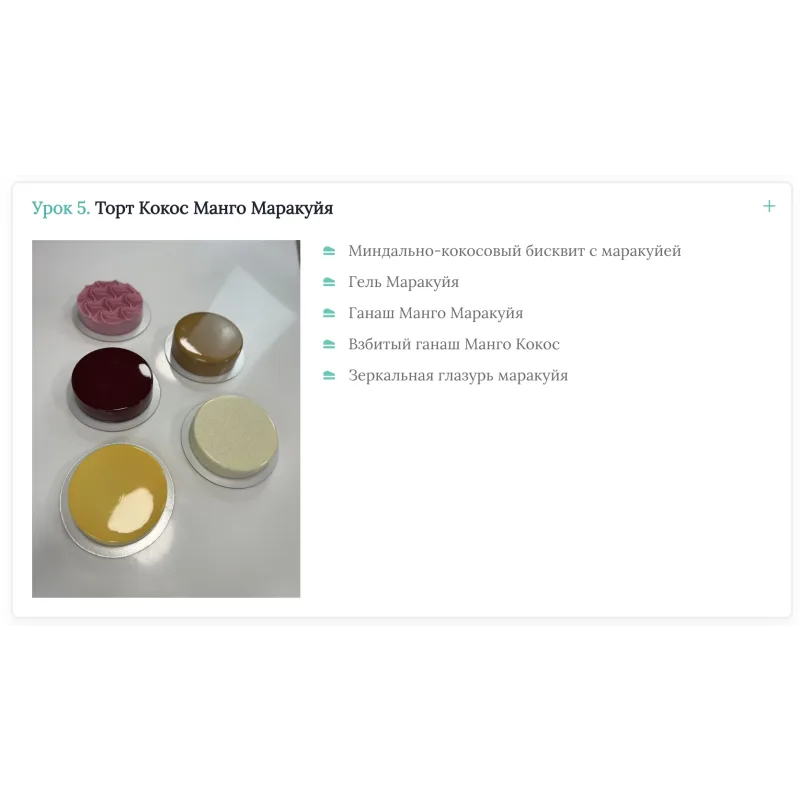 [Cake Pro] Муссовые торты 3.0 (Александра Овешкова)