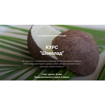 Шоколад (Елена Становова)