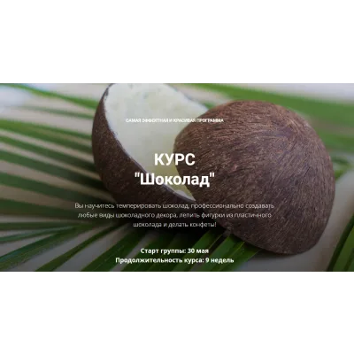 Шоколад (Елена Становова)