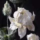 [anechkacake] Торт “Цветение лотоса” (Анна Сухова)