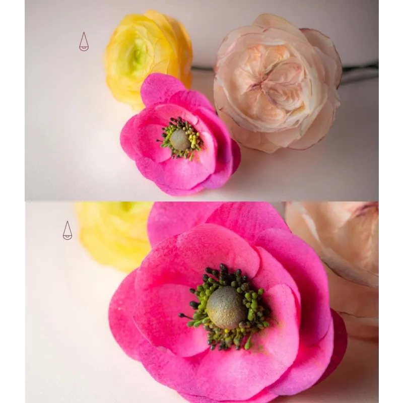 Онлайн курс Вафельная флористика (Elena Elkina-Kovaleva, Glavgnom)