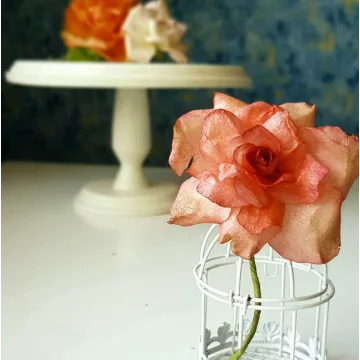 [Где торт?] Вафельная Роза (Евгения Бочарова)