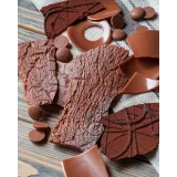 Начинающий шоколатье (Полина Филимонова, Pauline School)