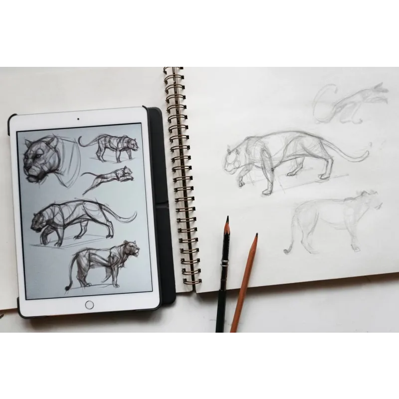 Рисовать может каждый. Тариф художник (Женя Мельникова, Лена Елькина-Ковалёва)