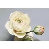 Сахарная флористика (Инна Питерова)