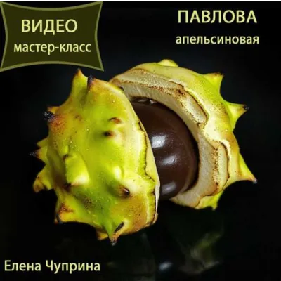 Апельсиновая Павлова(Елена Чуприна)