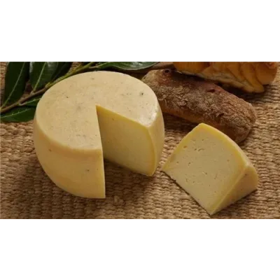 Полутвёрдые сыры (cheese lab)