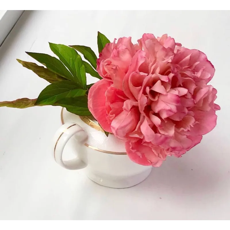 Шокофлористика. Тариф «Хочу максимум» (Art.torte)