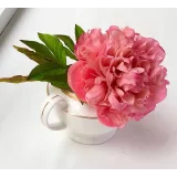 Шокофлористика. Тариф «Хочу максимум» (Art.torte)