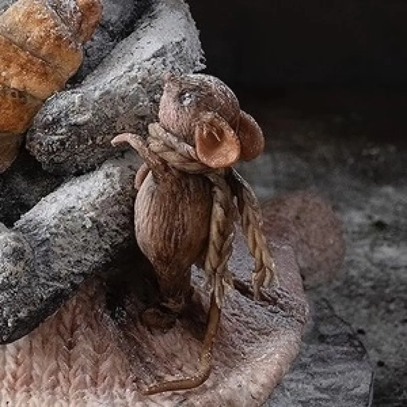 Торт "Котик" (Анна Сухова, anechkacake)