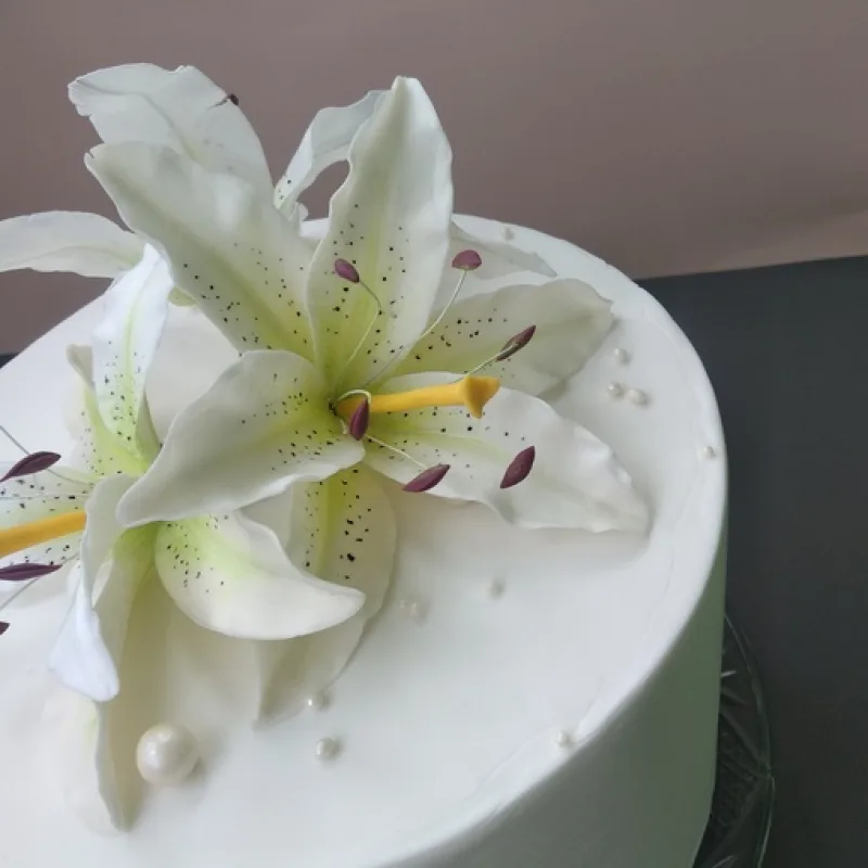 [galka_nova] Курс "Сахарная флористика" (Галина Иванова)