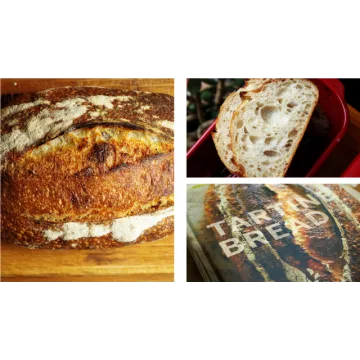 [Хлебомолы] Тартин