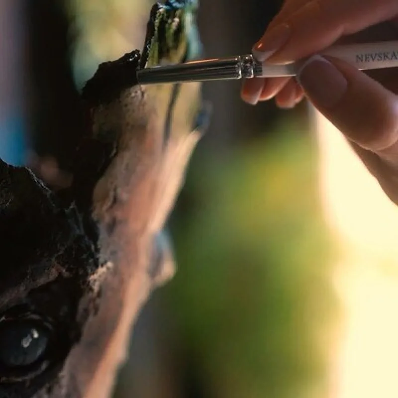 Сложная конструкция торта «Грут» (Юлия Припутнева)