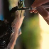 Сложная конструкция торта «Грут» (Юлия Припутнева)