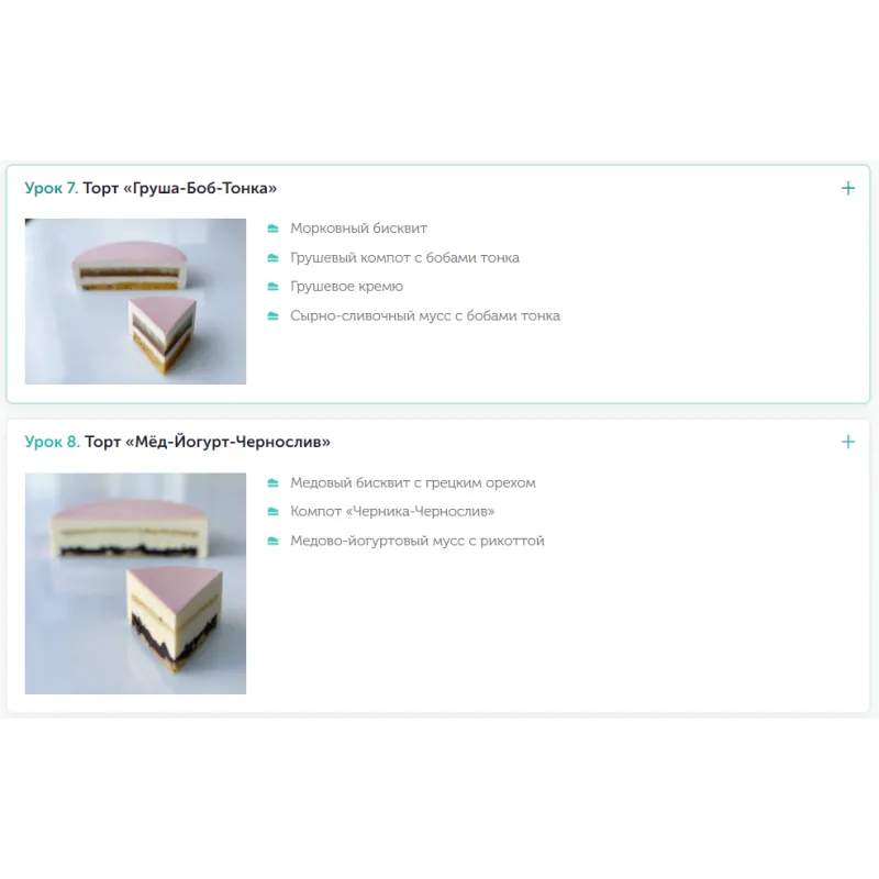 Курс по созданию муссовых тортов (Александра Овешкова)