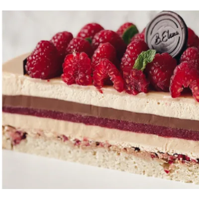 Сборник технологических карт муссовых тортов №2 (Елена Богомолова, zimnyaya_dolci)