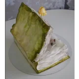 Старинная книга (Елена Гнут)