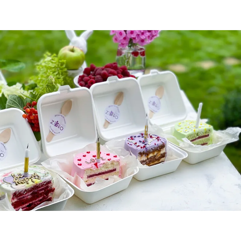 [Zero Cake school] Бенто-конструктор. Тариф Без сахара (Светлана Шубина)